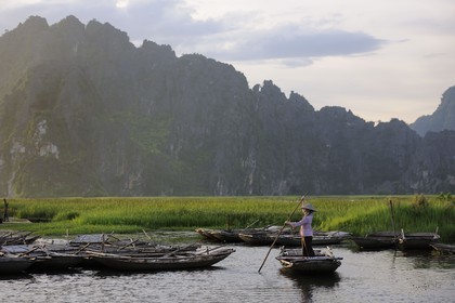 Vietnam, province de Ninh Binh, région surnommée la baie d'Halong terrestre, réserve naturelle de Van Long et ses paysages karstiques