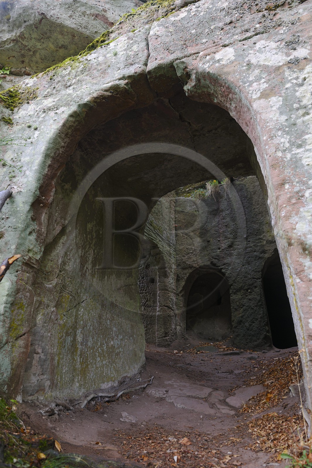 France, Bas-Rhin (67), château du Vieux-Windstein