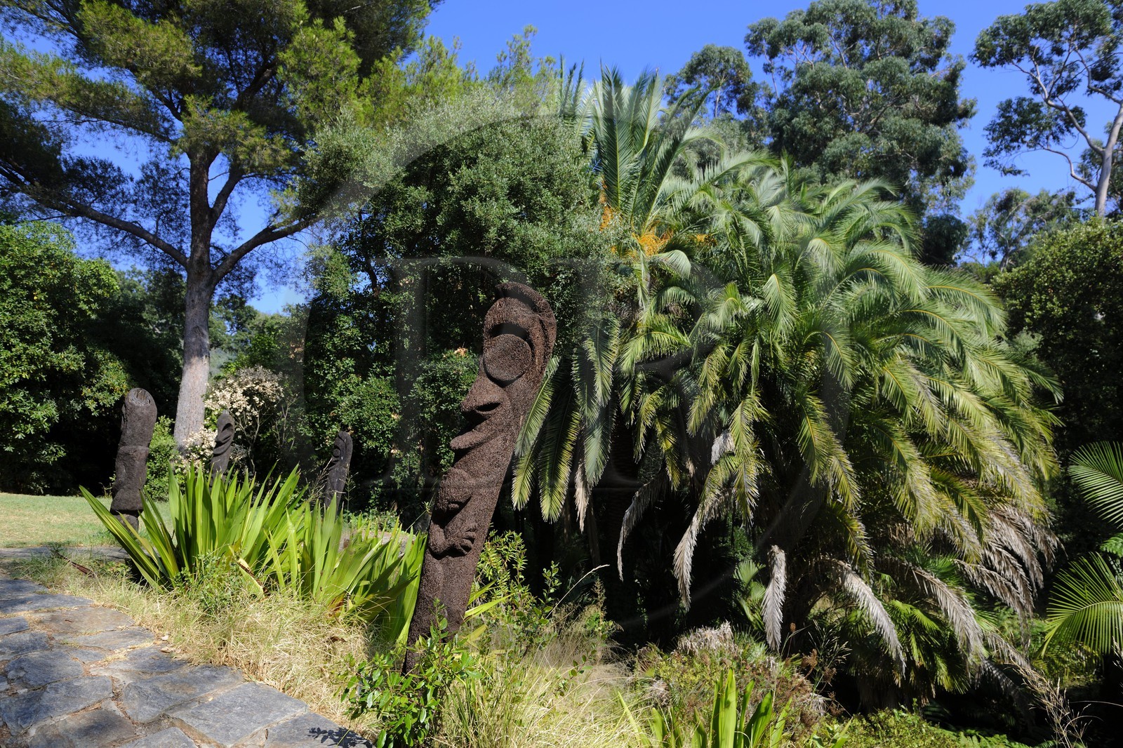 France, Var (83), Le Rayol-Canadel-sur-Mer, Domaine du Rayol, Jardin des Méditerranées, propriété du Conservatoire du Littoral, mention obligatoire