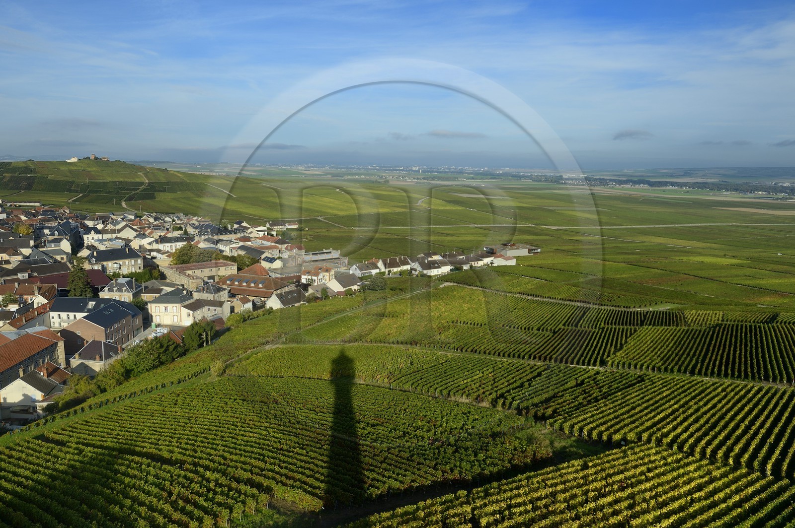 France, Marne, Parc Naturel de la Montagne de Reims (Natural Park of Montagne de Reims), Verzenay,  Lighthouse's shadow of the wine museum overlooking the vineyards of Champagne