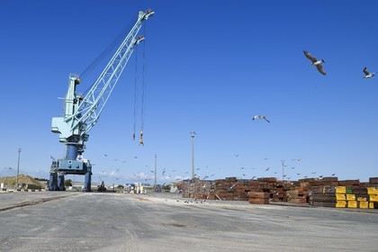 France, Charente-Maritime (17), La Rochelle, le Port Atlantique La Rochelle, port de commerce, 1er port européen pour l'importation de grumes et 1er port français pour l'importation de produits forestiers