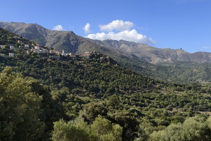 France, Haute-Corse (2B), Balagne, village perché de Belgodère