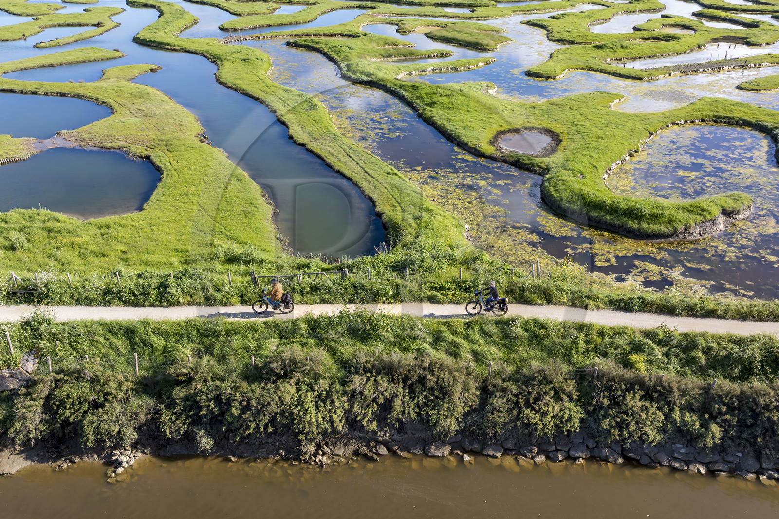 France, Vendée (85), Talmont Saint Hilaire, Guittière marshes in the hinterland of Pointe du Payré, cyclist on the Vendée Vélo Tour and Vélodyssée cycle route et the passage du Cul d’Ane, marshes developed for fish farming of sea bream, mullet and eels (aerial view)