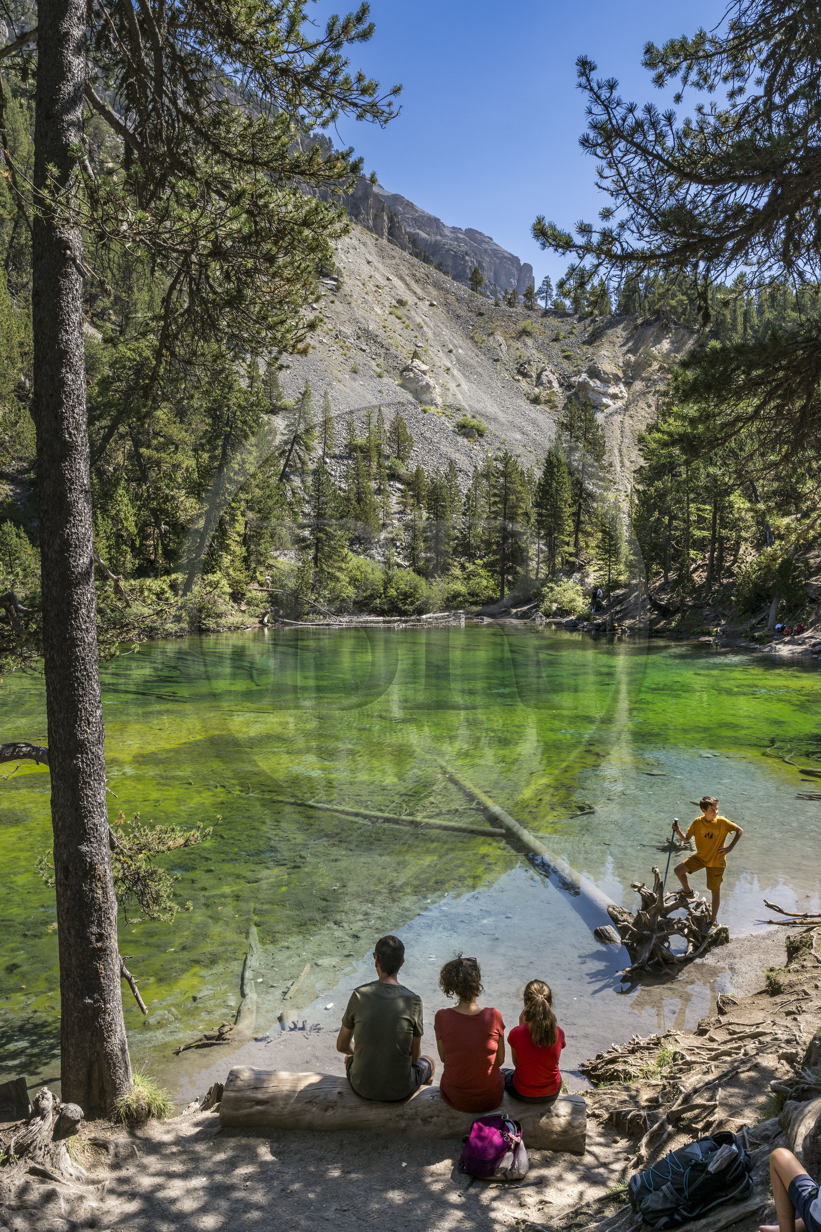 France, Hautes Alpes, Nevache, the Vallée Etroite (Narrow Valley) on the Italian border, Green Lake (alt. 1834 m)