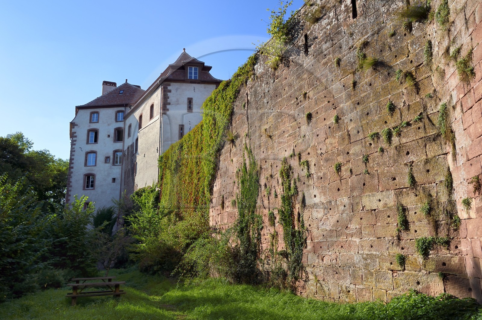 France, Bas-Rhin (67), Parc Naturel régional des Vosges du Nord, La Petite Pierre, le chateau de Lutzelstein qui abrite la Maison du Parc