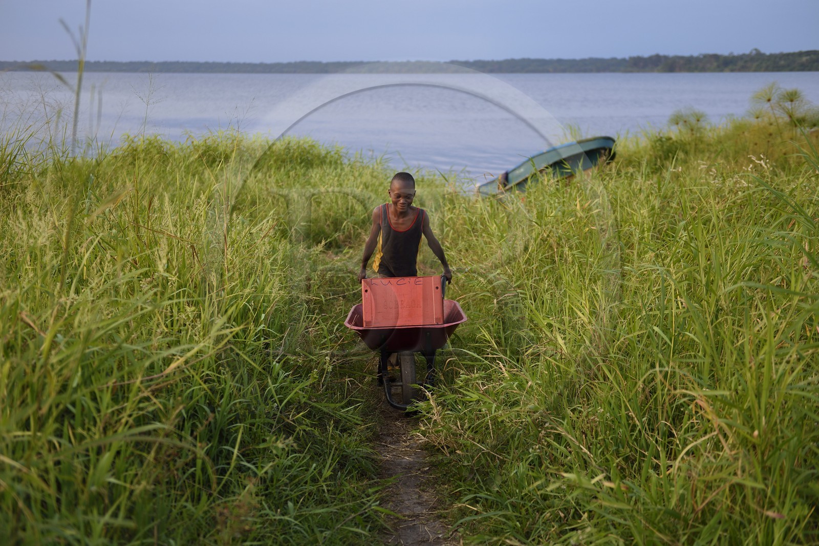 Gabon, province de Ogooué- Maritime, Omboué, petite ville située au bord de la lagune Fernan Vaz (Nkomi), enfant déchargeant une caisse de bière d'un bateau