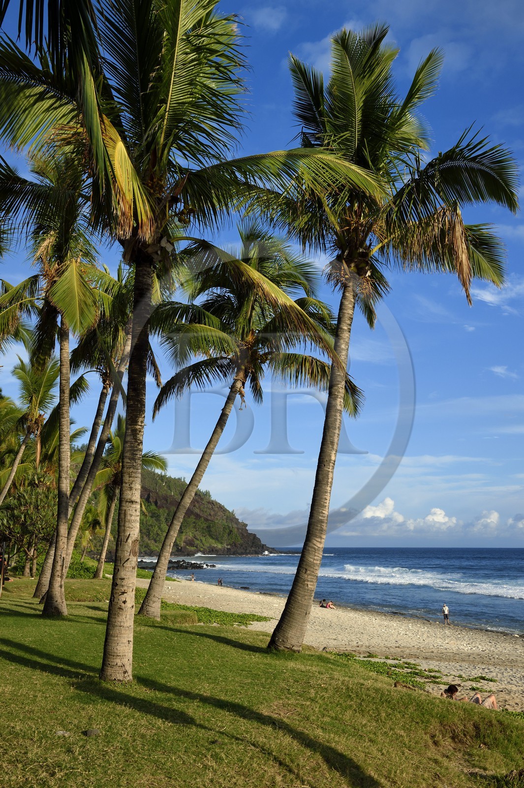 France, Ile de la Reunion, Cote Sud, plage de Grande Anse