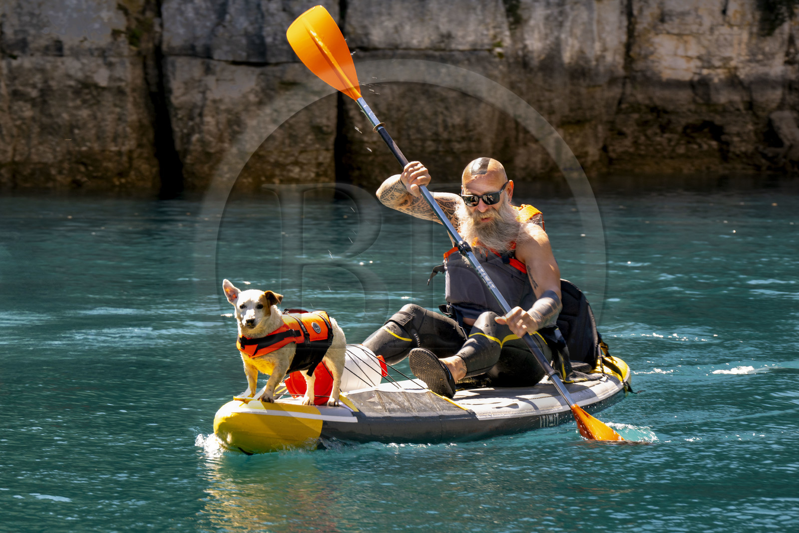 Var on the Left Bank and Alpes de Haute Provence on the Right Bank, Parc Naturel Regional du Verdon, Basses Gorges du Verdon downstream of Lake St. Croix, discovery by paddle and with dog of the gorges de Baudinard