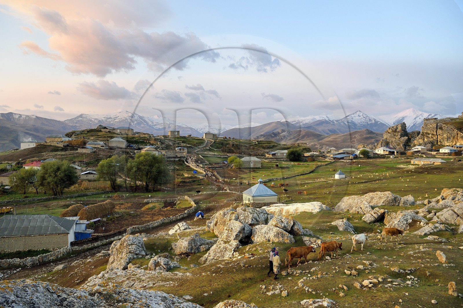 Azerbaïdjan, région de Quba (Guba), chaine de montagne du Grand Caucase, village de Giriz à l'aube, femmes amenant leurs vaches au prés
