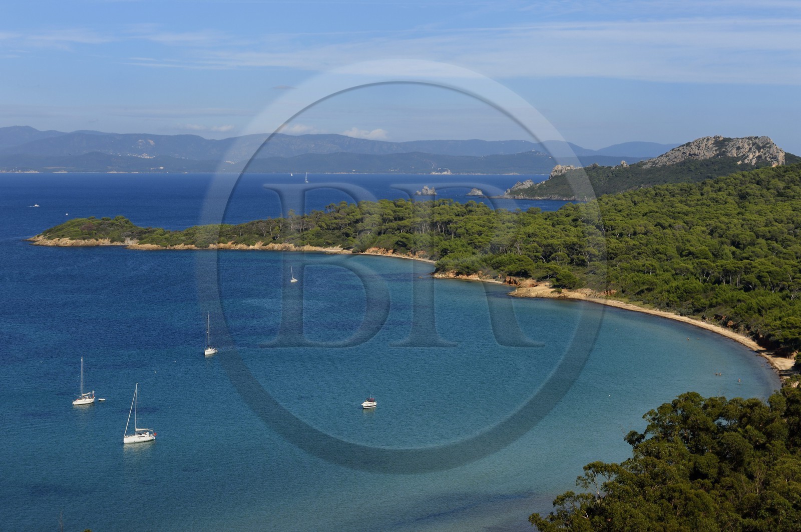 France, Var (83), Iles d'Hyères, parc national de Port Cros, Ile de Porquerolles, plage de la Courtade