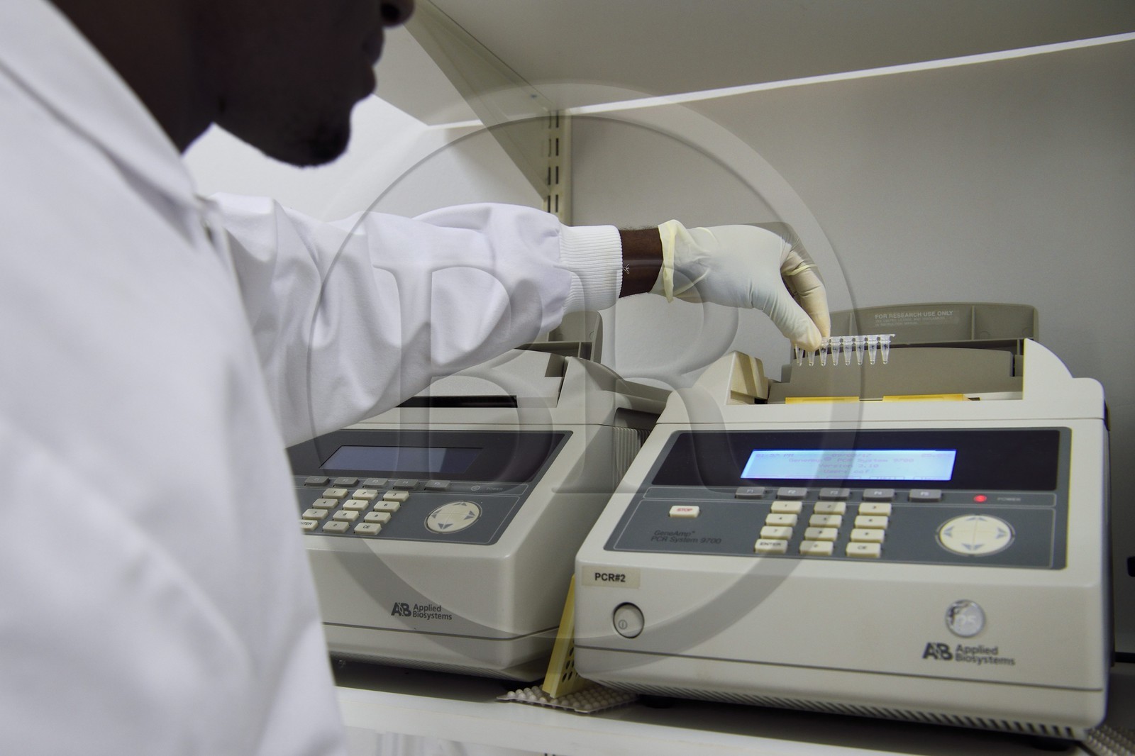 Namibie, Otjiwarongo, Cheetah Conservation Fund, centre de recherche et d'éducation, Life Technologies Conservation Genetics Laboratory, machine à PCR qui amplifie l'ADN