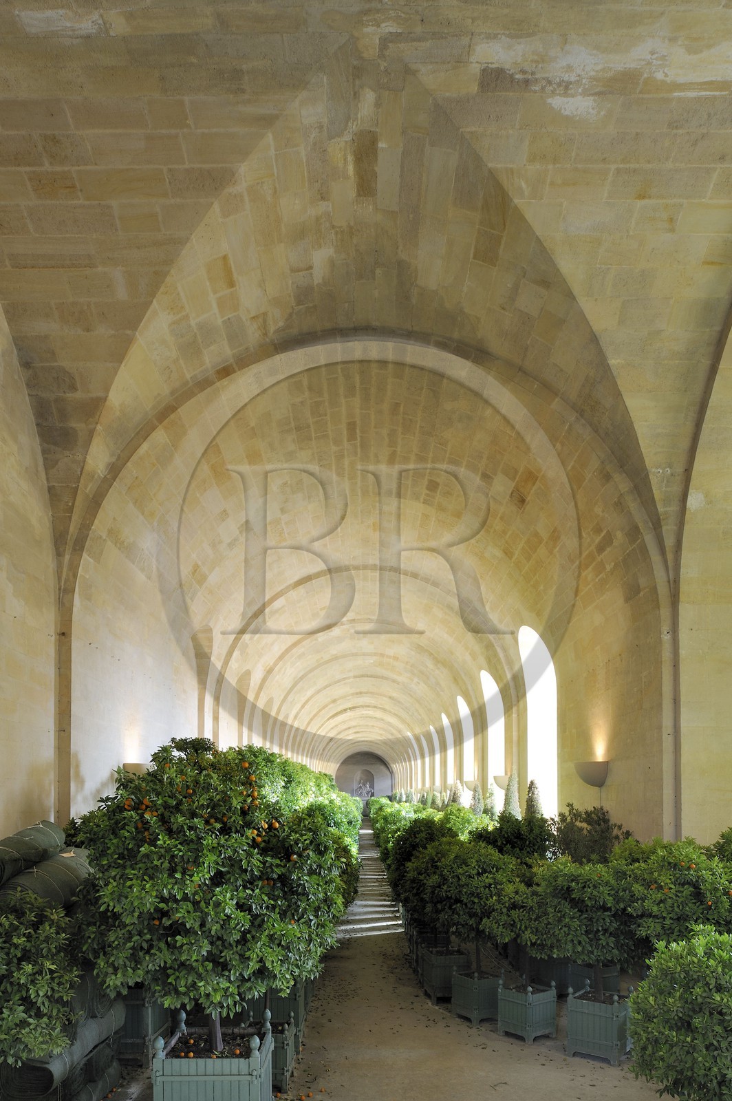 France, Yvelines (78), château de Versailles, classé Patrimoine Mondial de l'UNESCO, l'Orangerie en hiver de Jules Hardouin-Mansart