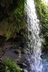 Caribbean, Dominica Island, Castle Bruce, Morne Trois Pitons National Park listed as World heritage by UNESCO, in the tropical undergrowth, Emerald Pool and its waterfall