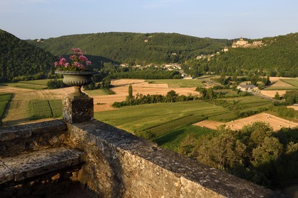 France, Dordogne (24), Périgord Noir, vallée de la Dordogne, Vézac, les jardins du château de Marqueyssac du XVIIIe siècle et le château de Castelnaud-la-Chapelle en arrière plan