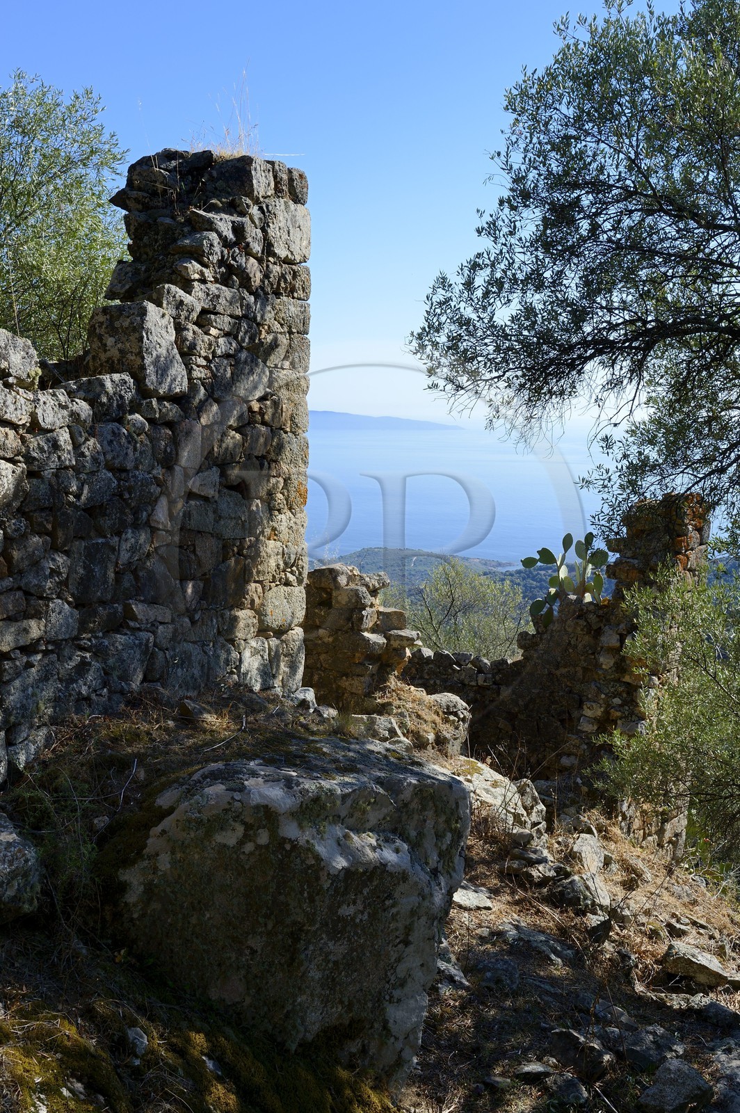 France, Corse-du-Sud (2A), région de Cargèse, les ruines grecques de Paomia qui fut la première implantation de la colonie grec avant Cargèse