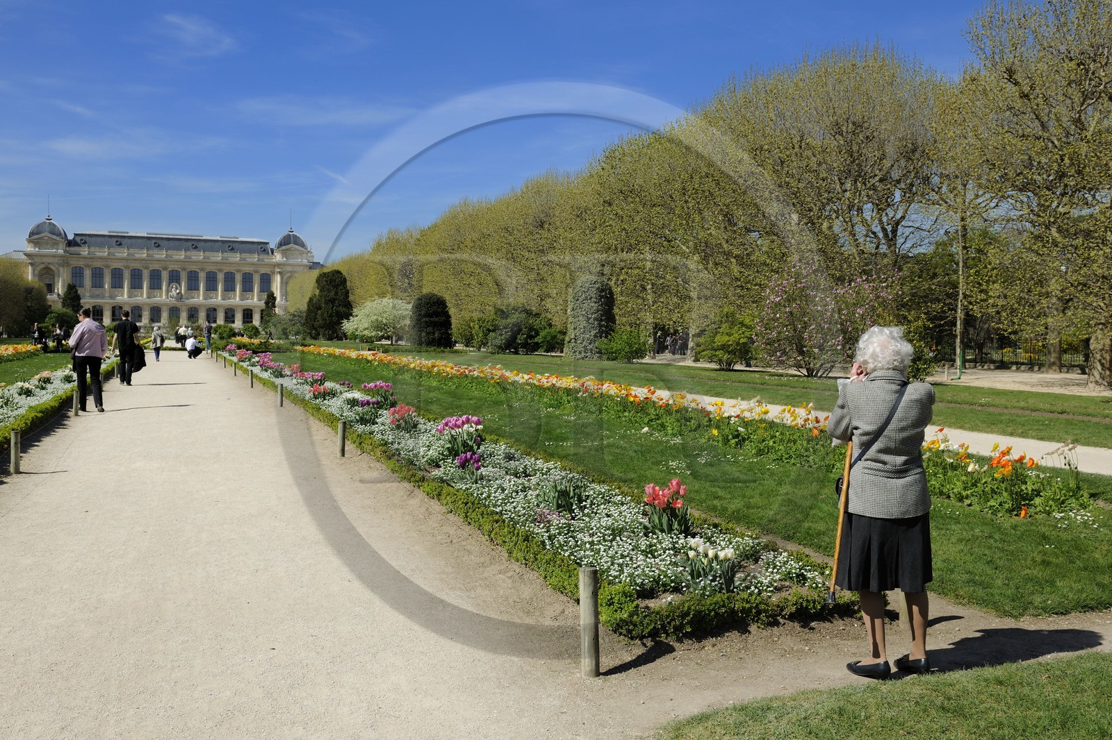 France, Paris (75), Muséum d'Histoire Naturelle, le Jardin des Plantes et la Grande Galerie de l’Évolution