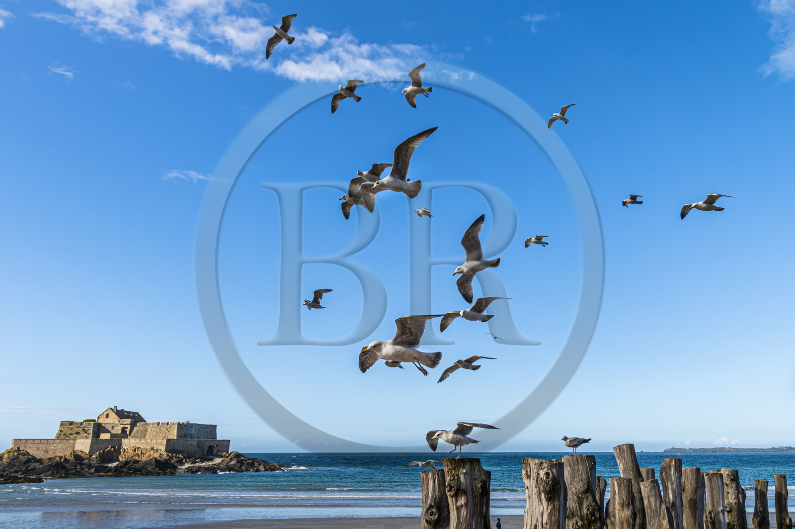 France, Ille-et-Vilaine (35), Côte d'Emeraude, Saint-Malo, Fort National conçu par Vauban et construit par Siméon Garangeau de 1689 à 1693, la plage de l'eventail à marée basse avec ses brise-lames en bois