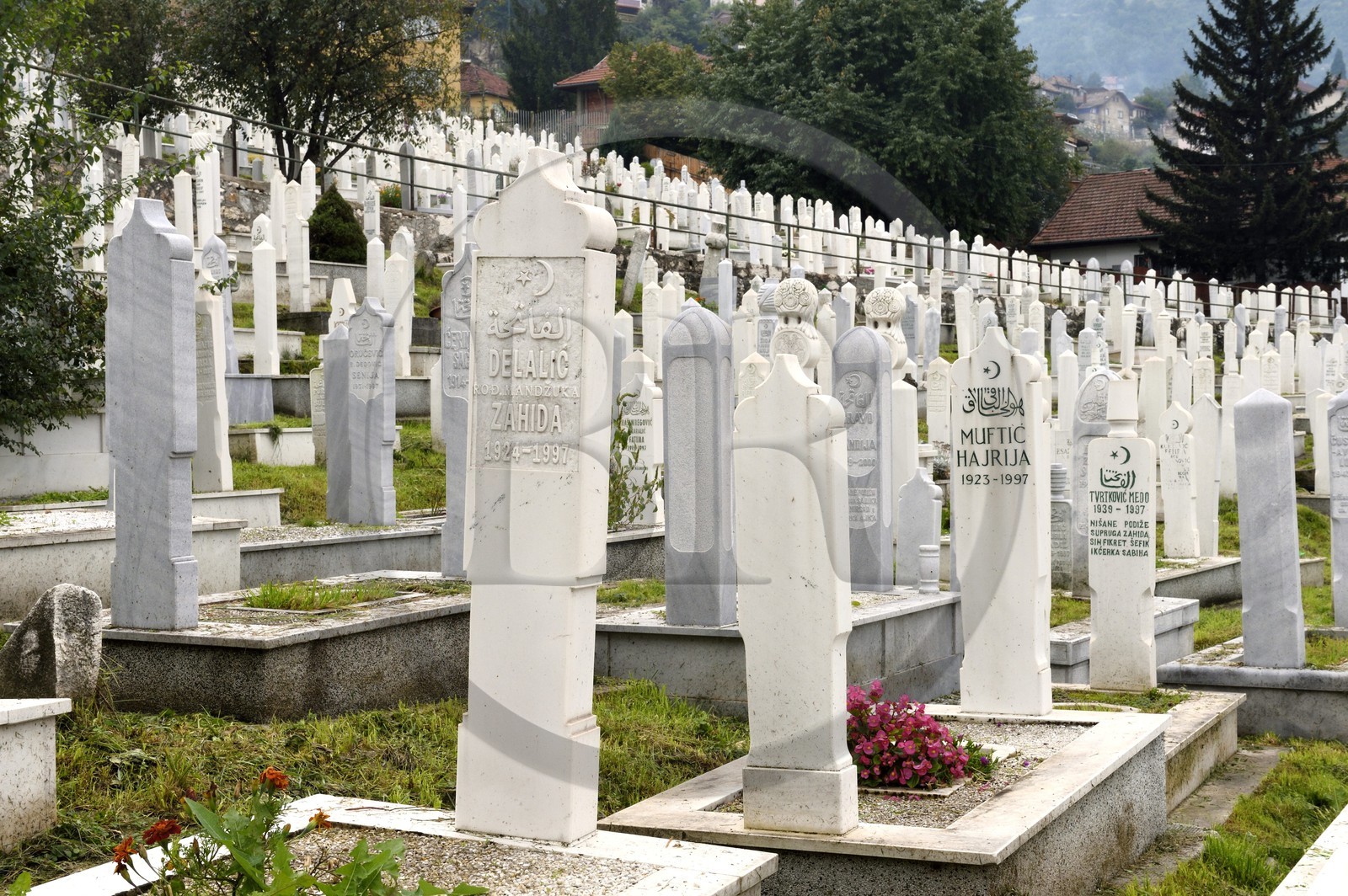 Bosnia and Herzegovina, Sarajevo, Alifakovac Muslim cemetery