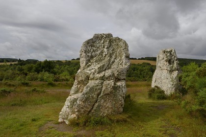 France, Ille-et-Vilaine (35), Saint-Just, monuments mégalithiques de la Lande de Cojoux, menhirs appelés Les Demoiselles