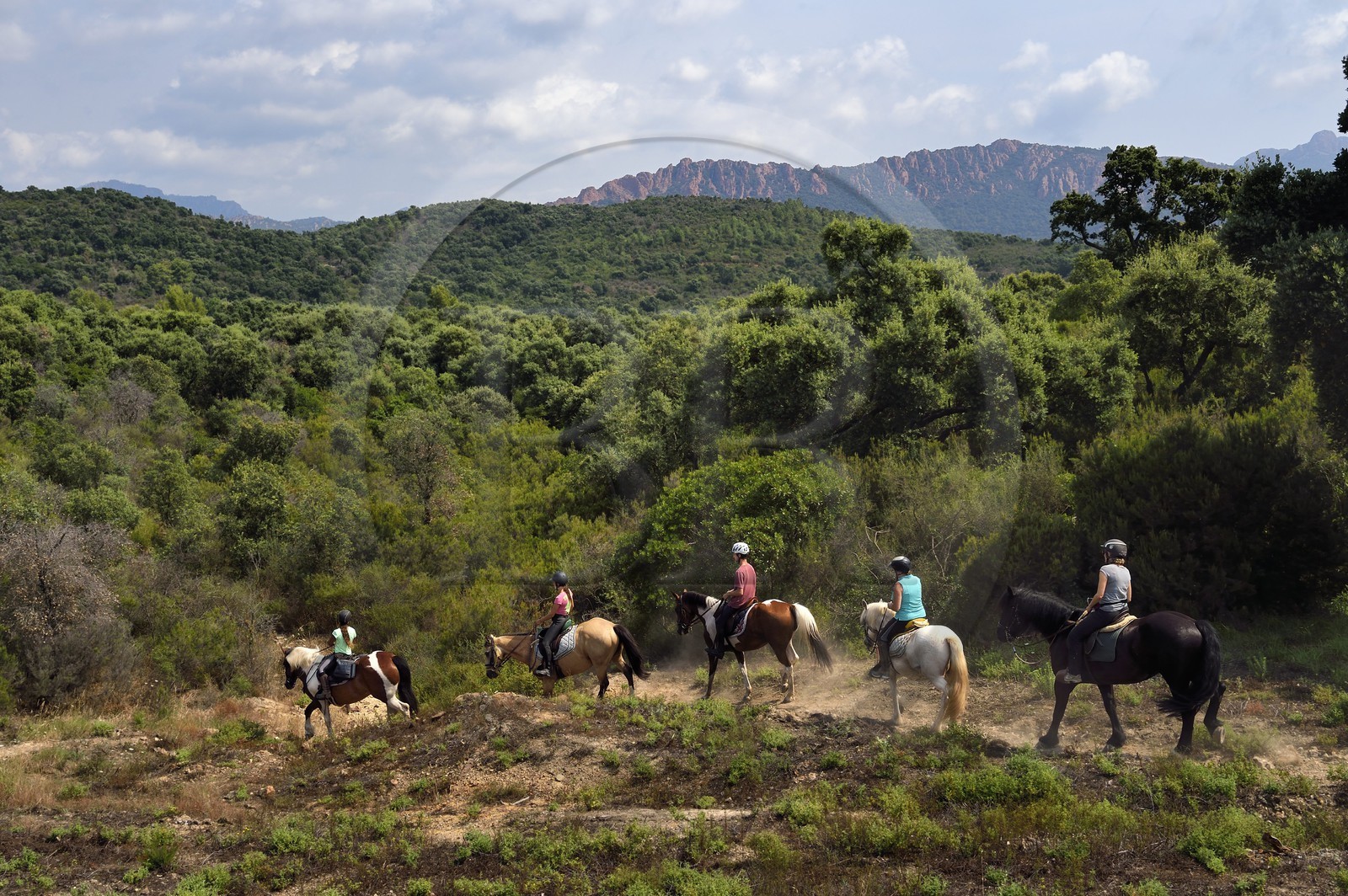 France, Var (83), Agay commune de Saint-Raphaël, cavaliers en randonnée dans le massif de l'Estérel et le rastel d'Agay en arrière plan