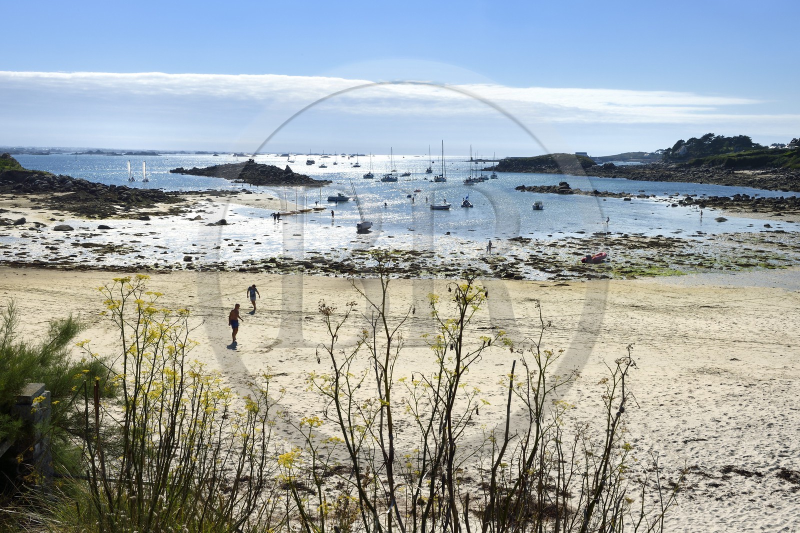 France, Finistère (29), Ile-de-Batz, plage de Pors An Iliz
