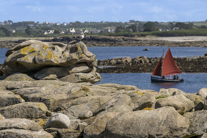 France, Finistère (29), Pays des Abers, Ile Vierge dans l'archipel de Lilia, voilier traditionnel voguant dans l'estuaire de l'Aber Wrac'h