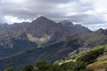 France, Haute-Corse (2B), Balagne, les montagnes qui bordent Le Giussani depuis la Bocca di a Battaglia et la forêt de Tartagine qui monte à l’assaut du Monte Padro
