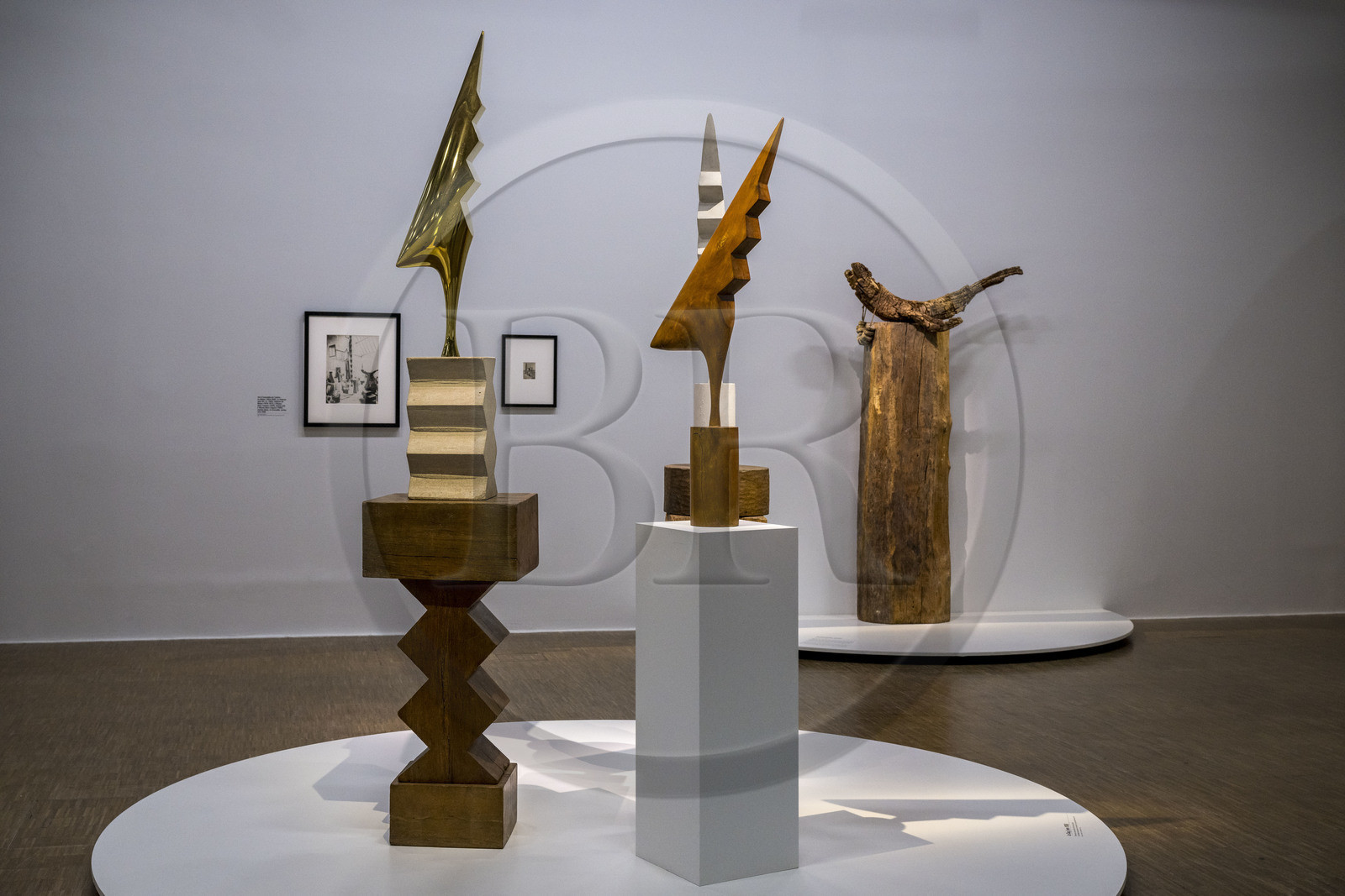 France, Paris (75), quartier des Halles, le Centre Pompidou aussi apellé Beaubourg, Musée National d'Art Moderne (MNAM), exposition retrospective Brancusi, le bestiaire poétique de Constantin Brancusi