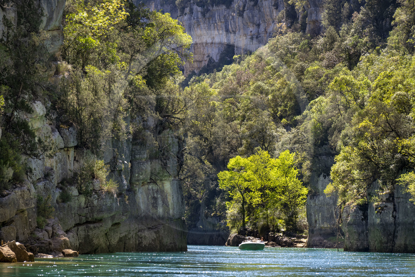 Var (83) rive gauche et Alpes-de-Haute-Provence (04) rive droite, Parc Naturel Régional du Verdon, Basses Gorges du Verdon en aval du lac de Sainte Croix, découverte en bateau électrique des gorges de Baudinard
