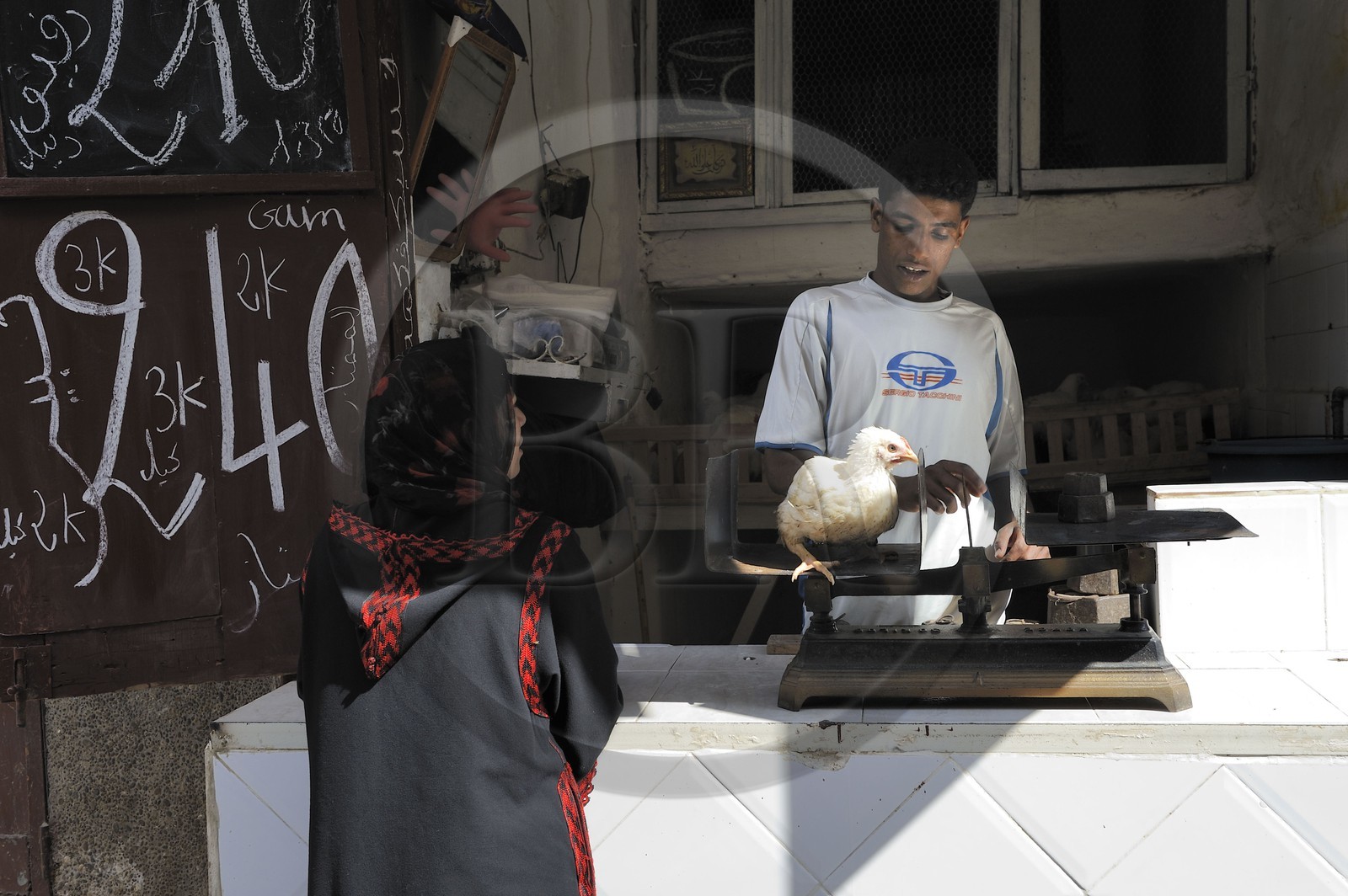 Morocco, Middle Atlas, Fez, Imperial City, Fez El Bali, medina listed as World Heritage by UNESCO, chicken salesman in a small shop
