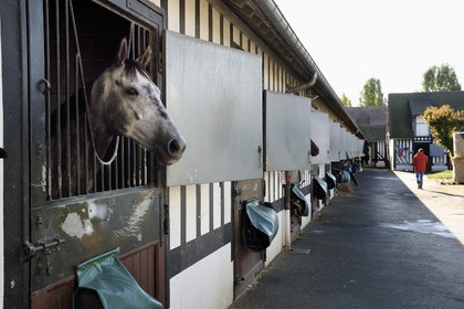 France, Calvados (14), Pays d'Auge, Deauville, Hippodrome de Deauville-La Touques, les écuries