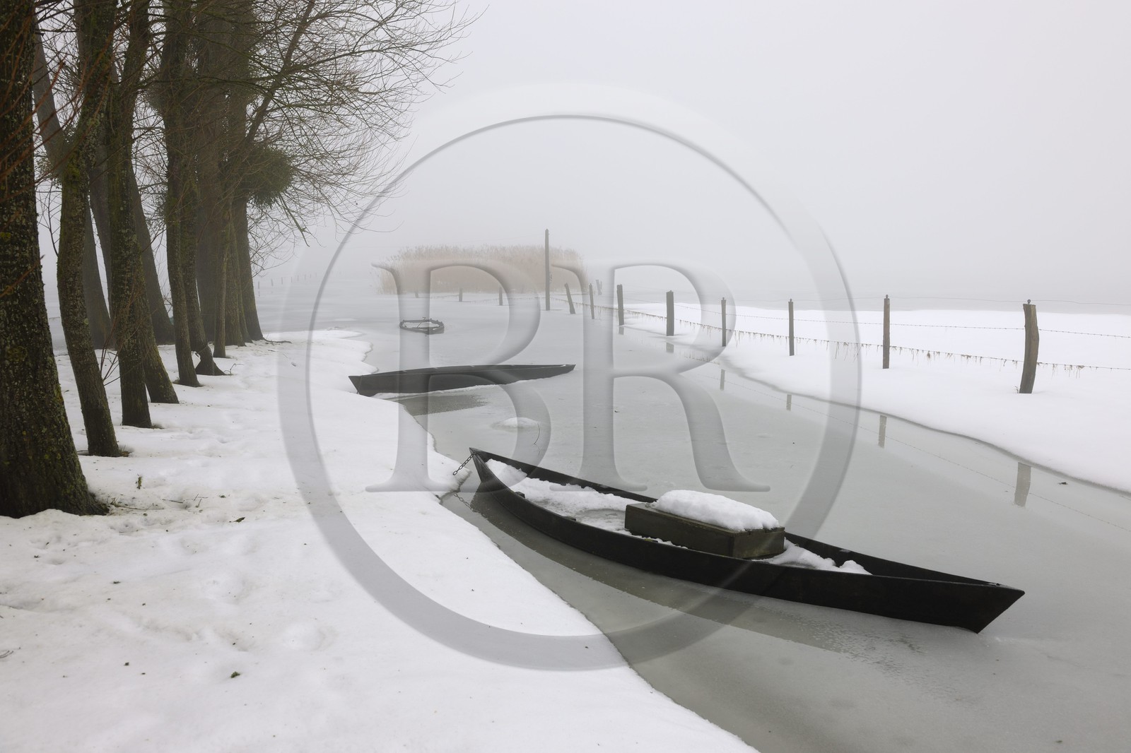 France, Manche (50), Cotentin, marais de la Douve, Le Port à Blosville Carquebut