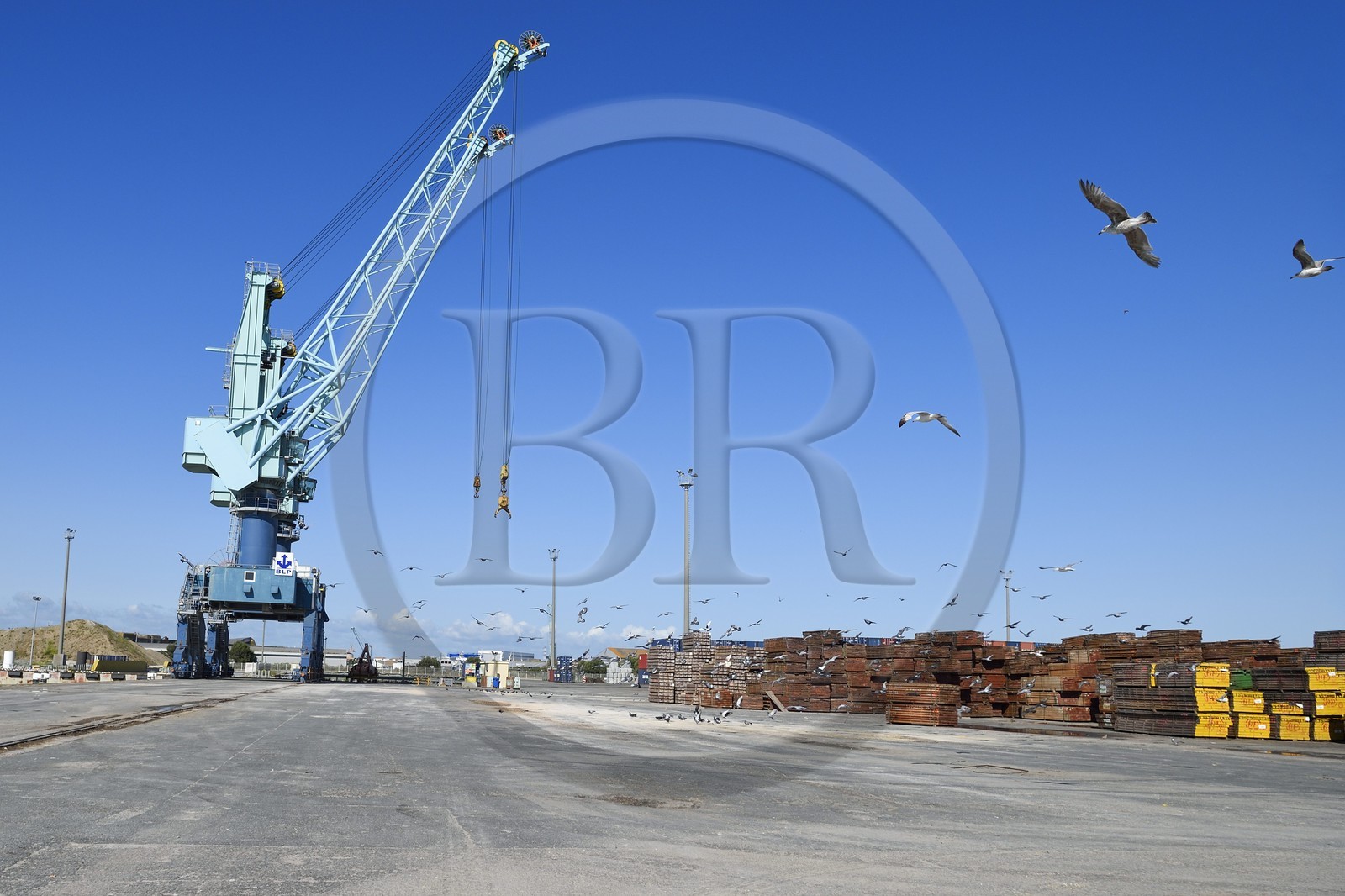 France, Charente-Maritime (17), La Rochelle, le Port Atlantique La Rochelle, port de commerce, 1er port européen pour l'importation de grumes et 1er port français pour l'importation de produits forestiers