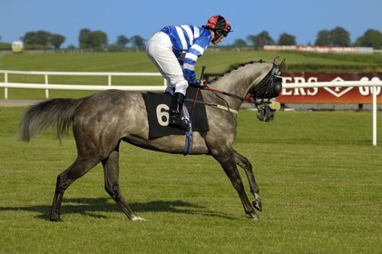Irlande, Co. Meath, hippodrome de Fairyhouse, course de chevaux