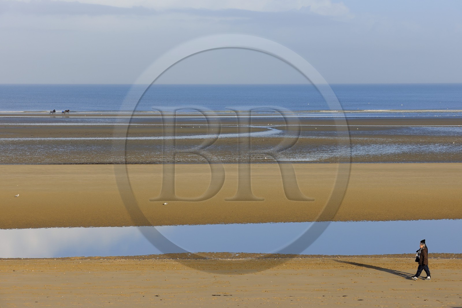 France, Manche, Cotentin, Sainte Marie du Mont, Utah Beach where took place the main American landing of D day, trotting carriages on the beach at low tide