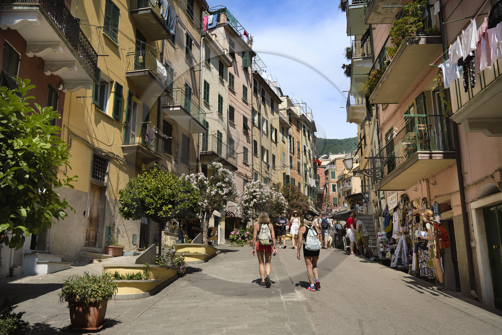 Italy, Liguria, Cinque Terre National Park listed as World Heritage by UNESCO, village of Riomaggiore main street