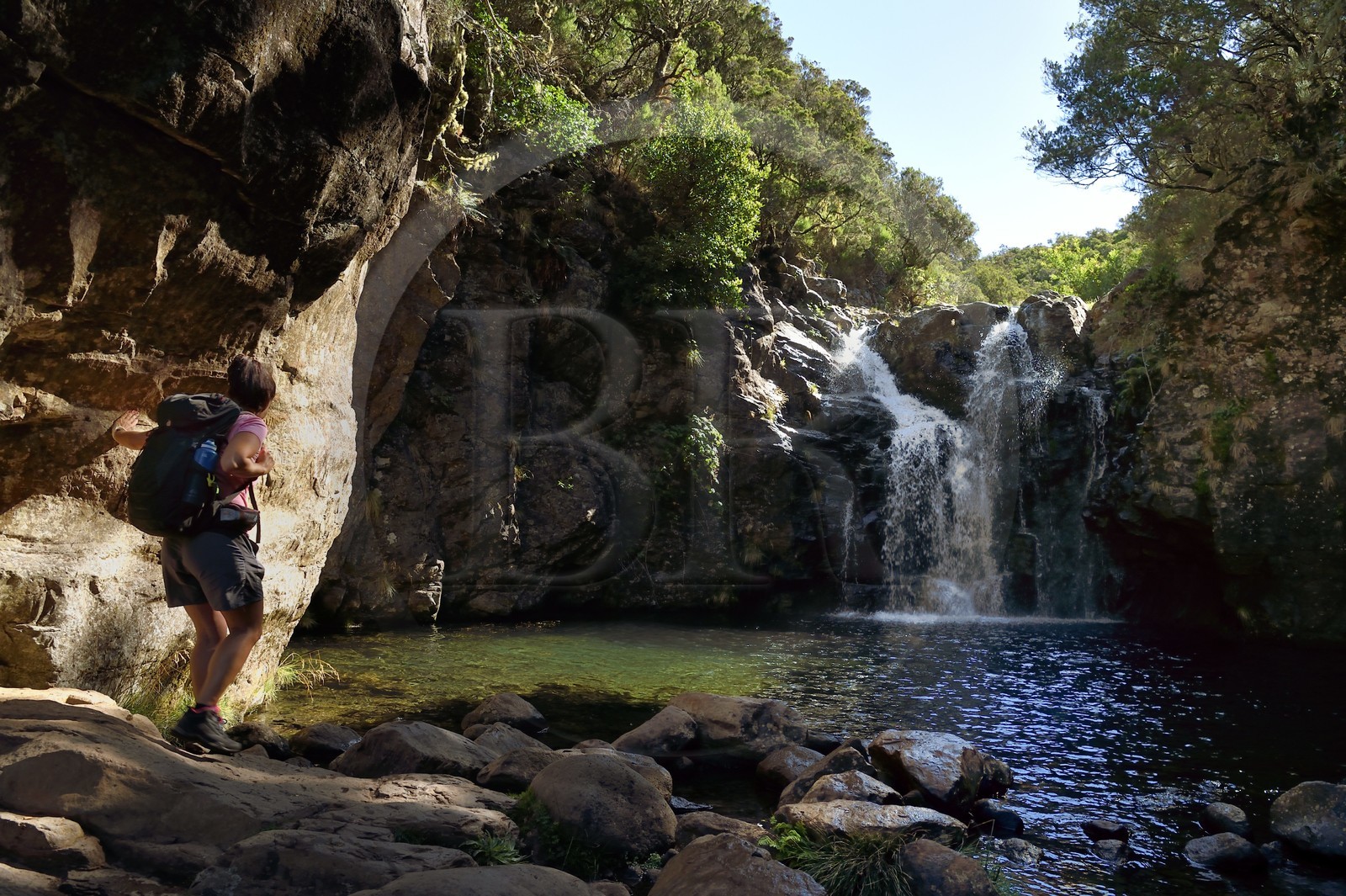 Portugal, Ile de Madère, randonnée dans La forêt de Rabaçal par la levada do Alecrim, la cascade du haut de Lagoa do Vento