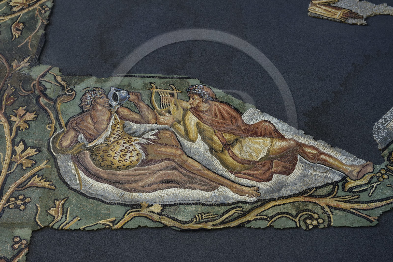 France, Rhône (69), Saint-Romain-en-Gal, musée gallo-romain de Saint-Romain-en-Gal, mosaïque du châtiment de Lycurgue datant du IIe siècle après J.C.