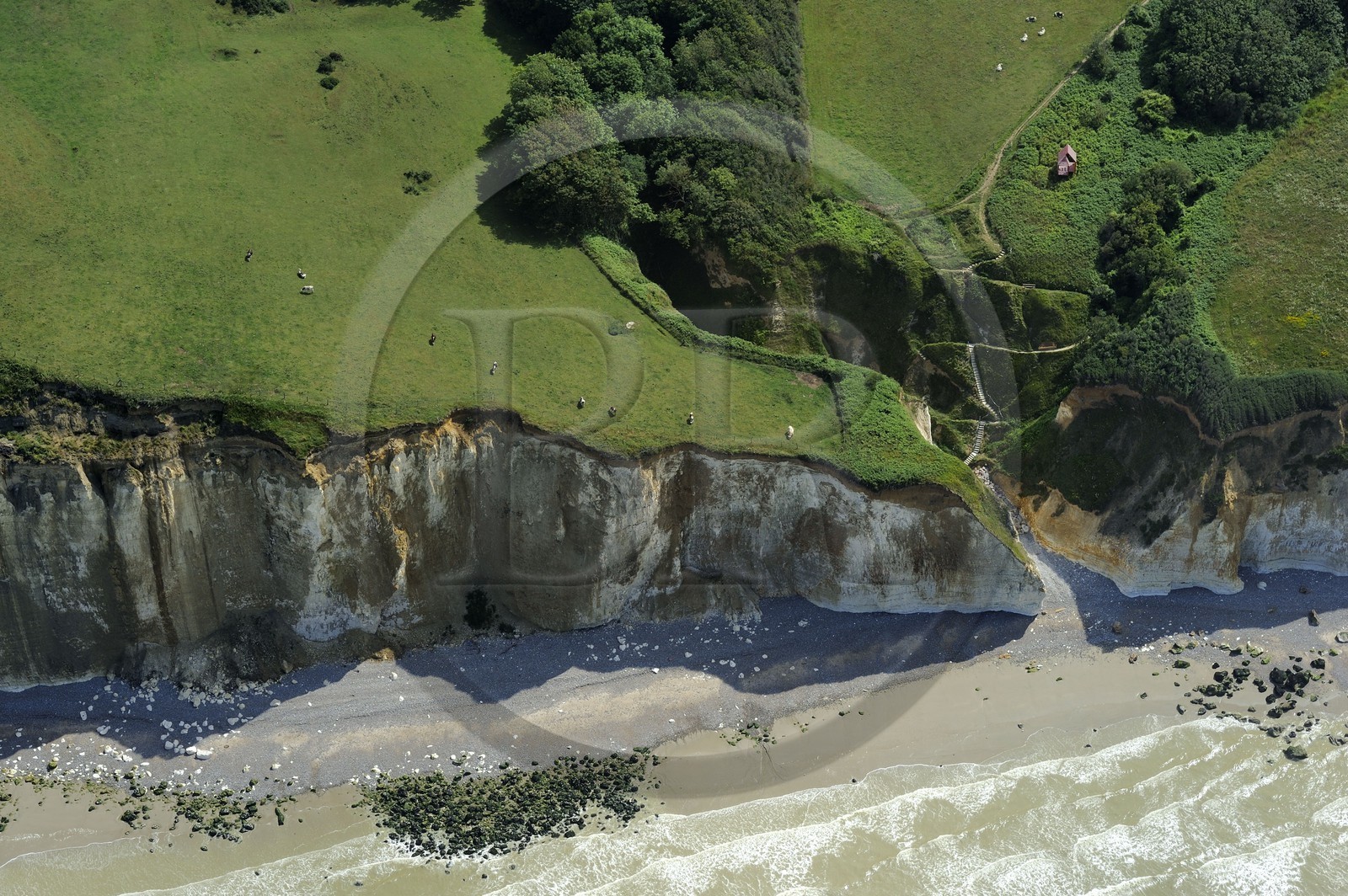 France, Seine-Maritime (76), Pays de Caux, Côte d'Albâtre, Varengeville-sur-Mer, falaises calcaires