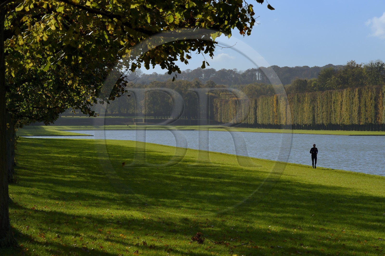 France, Yvelines (78), parc du château de Versailles, classé Patrimoine Mondial de l'UNESCO, coureur à pied autour du Grand Canal