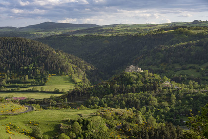 France, Haute-Loire (43), Goudet, le chateau de Beaufort construit vers 1200 domine la vallée de la Loire, randonnée avec un âne sur le chemin de Stevenson (GR 70)