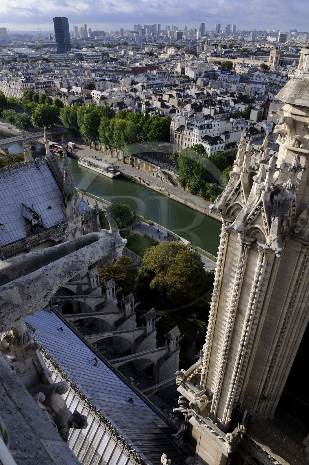 France, Paris (75), les rives de la Seine classées Patrimoine Mondial de l'UNESCO, île de la Cité, la cathédrale Notre-Dame