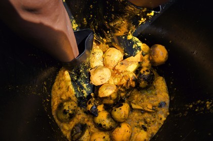 France, Reunion island (French overseas department), La Saline, La Part des Anges Distillation, crushing at the foot of the mangoes before fermentation of the resulting juice