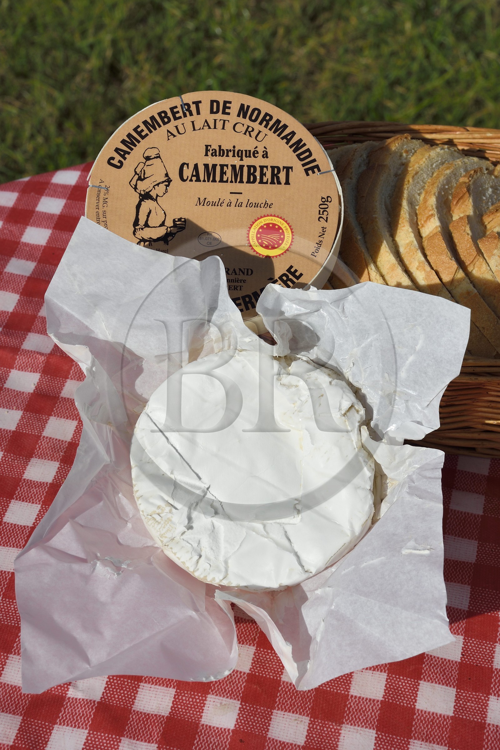 France, Orne (61), Pays d'Auge, village de Camembert, Ferme de la Héronnière, AOC Camembert au lait cru, camembert fermier