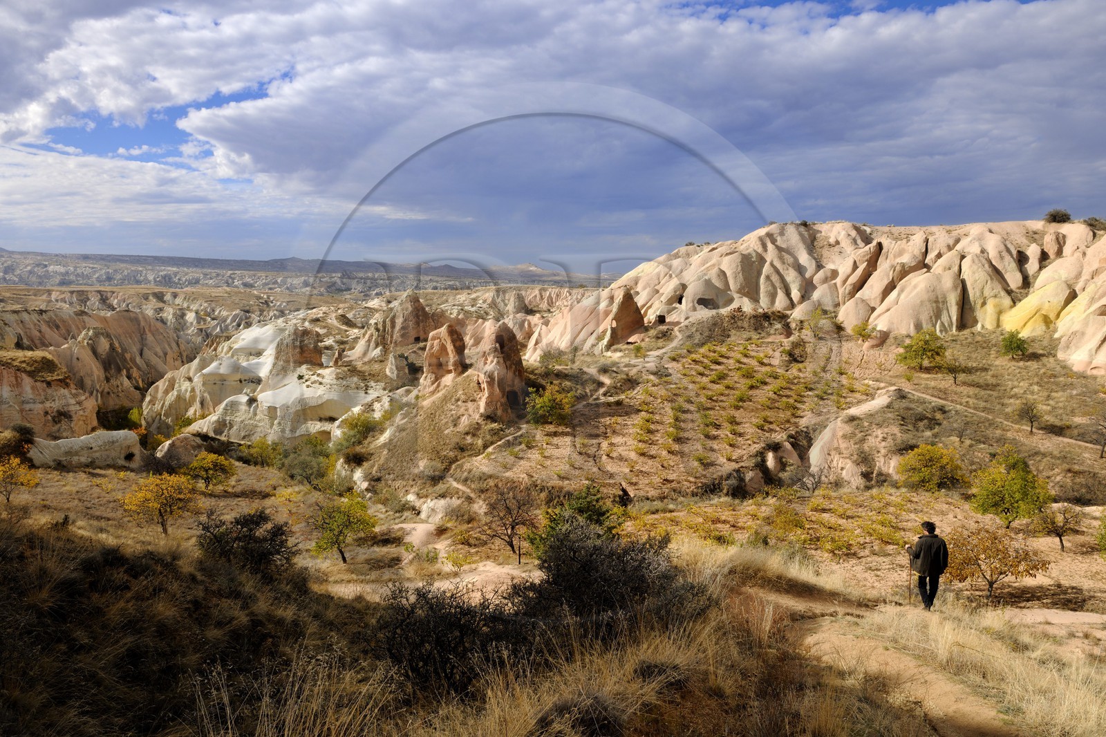 Turquie, Anatolie Centrale, province de Nevsehir, Cappadoce classée Patrimoine Mondial de l'UNESCO, vallon de Kizil Çukur (vallée Rouge) et vignes sur le versant occidental du massif de l'Ak Tepe vers Çavusin