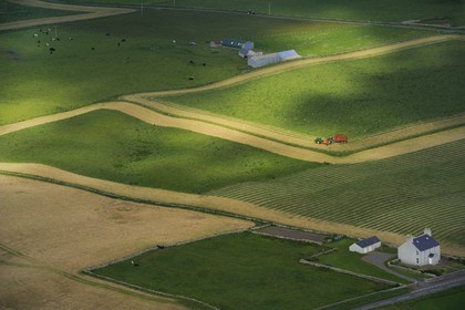 Royaume-Uni, Ecosse, Iles Orcades, Ile de Mainland, travaux agricoles, goélands se nourissent dans la terre retournée par le tracteur (vue aérienne)