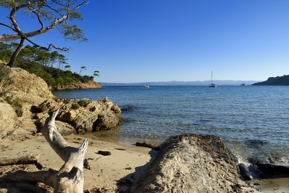 France, Var (83), Iles d'Hyères, parc national de Port Cros, Ile de Porquerolles, plage Notre-Dame dans la Baie de l'Alycastre