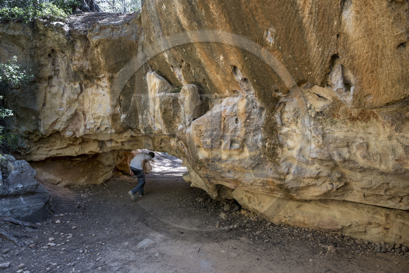 France, Bouches-du-Rhône (13), Aix en Provence, plateau de Bibemus, les carrières de Bibemus qui ont inspirées de nombreuses toiles de Cézanne