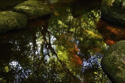 France, Finistère (29), parc naturel régional d'Armorique, Huelgoat, chaos granitique de la forêt du Huelgoat, la forêt se reflète dans l'eau de la rivière d'Argent qui prend parfois une couleur rouge sang