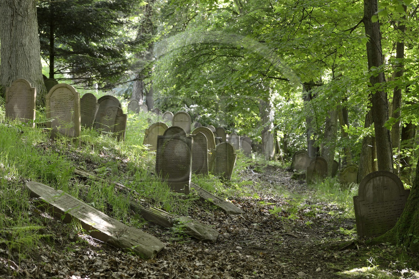 France, Bas-Rhin (67), Saverne, ancien cimetière juif